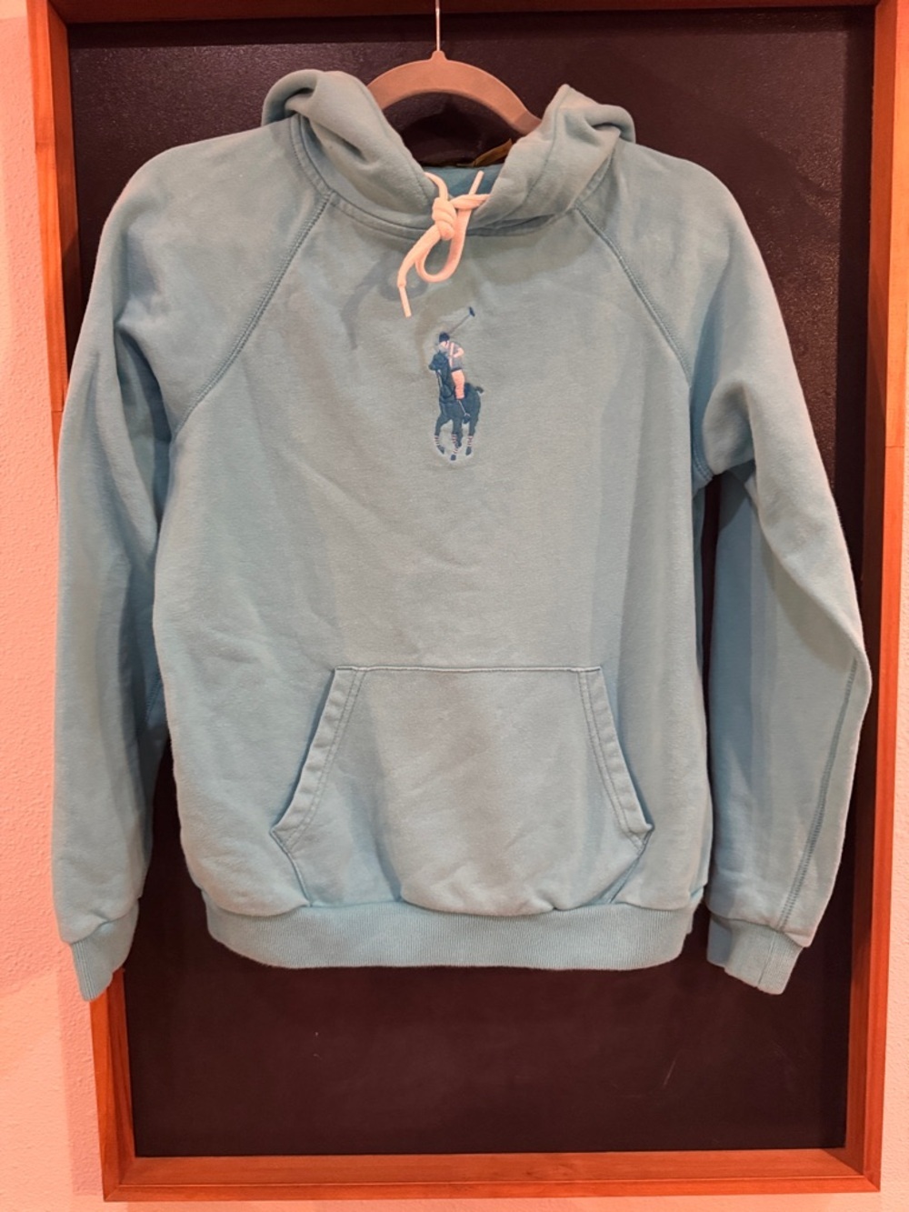 Polo by Ralph Lauren Aqua Pullover Hoodie with Embroidered Pony